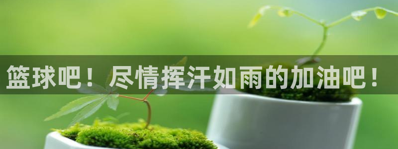 篮球吧！尽情挥汗如雨的加油吧！