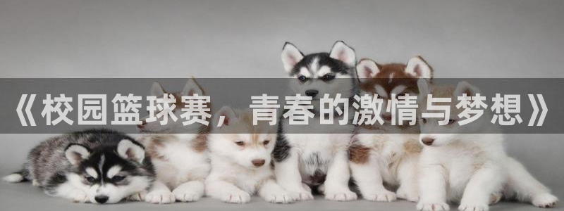  《校园篮球赛，青春的激情与梦想》