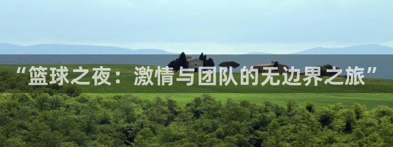  jn江南体育登录入口：“篮球之夜：激情与团队的无边界之旅”