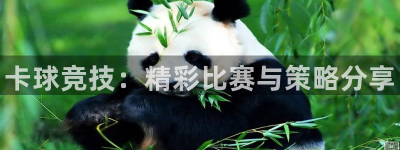 江南jnsport体育：卡球竞技：精彩比赛与策略分享