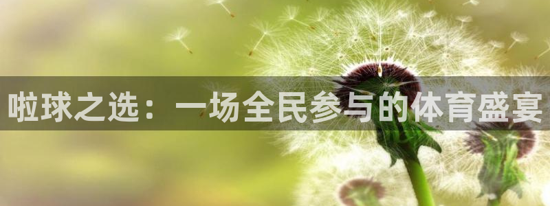 江南jn体育官方网站：啦球之选：一场全民参与的体育盛宴