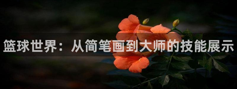 江南jn体育官方网：篮球世界：从简笔画到大师的技能展示