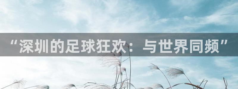 jn江南·体育最新官网入口：“深圳的足球狂欢：与世界同频”