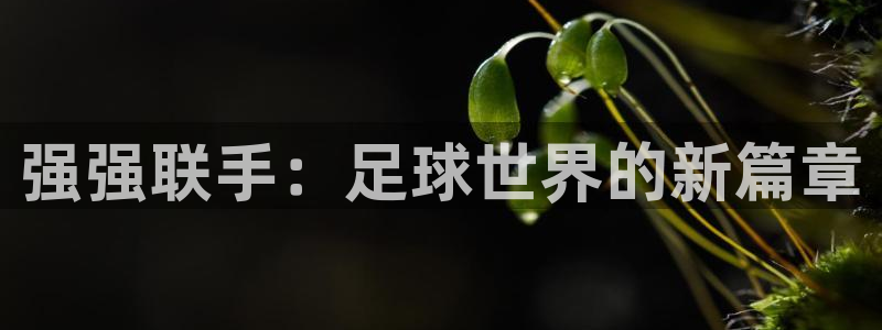  jn江南·体育网页版：强强联手：足球世界的新篇章