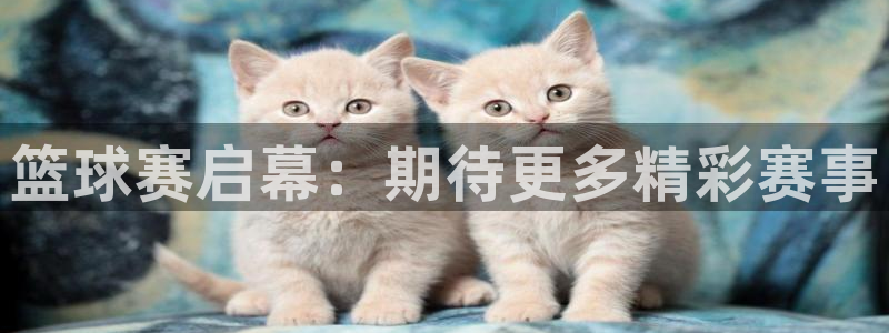  江南jn体育登录入口：篮球赛启幕：期待更多精彩赛事